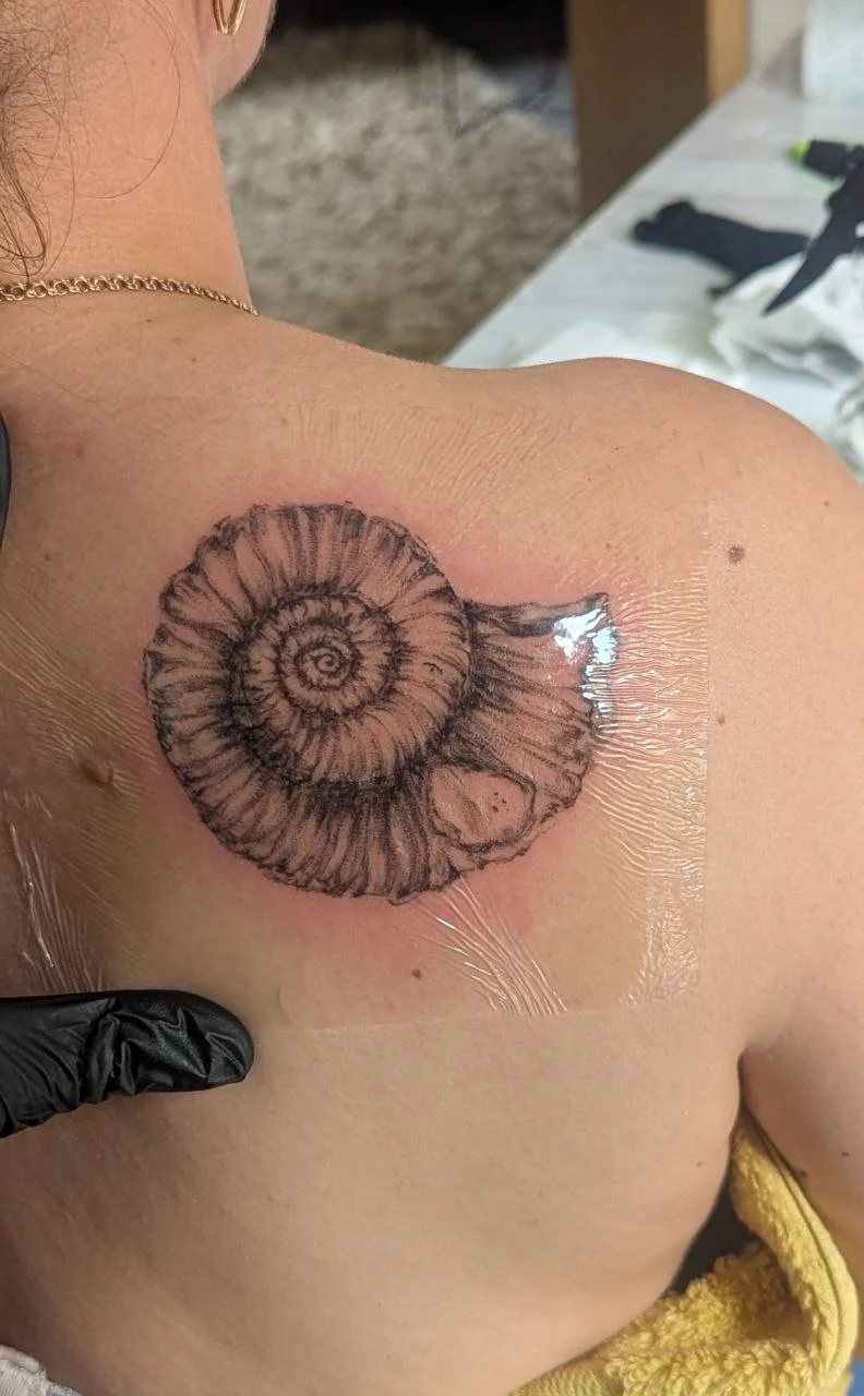shell